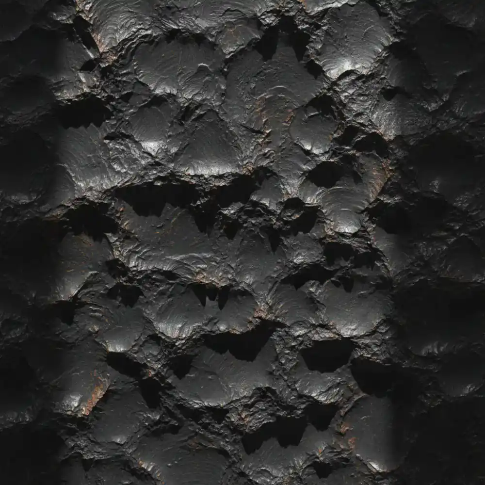 Rooted In Movement.Built To Last. image